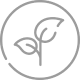 vegan svg